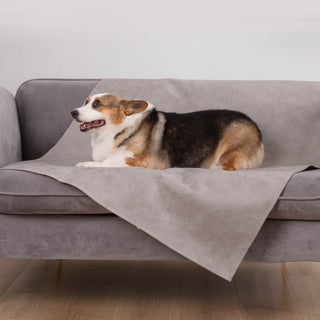 Funda de sofá impermeable para perros y gatos