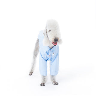 Camisa refrescante de bambú antialérgica para perros