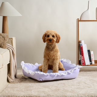 Cama de Peluche para Mascotas