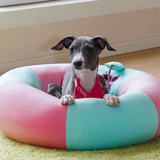 Cama flotante para mascotas ZEZE Pets