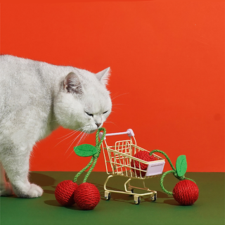 ZEZE Pets Juguetes para Gatos de Frutas Tropicales