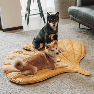 Alfombrilla para Mascotas Follaje Peludo