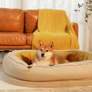 Cama para Mascotas Donut Dormilón