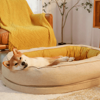 Cama para Mascotas Donut Dormilón