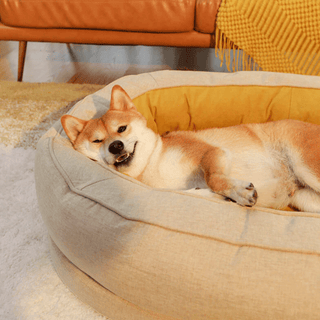 Cama para Mascotas Donut Dormilón