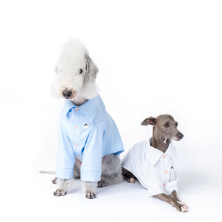 Camisa refrescante de bambú antialérgica para perros