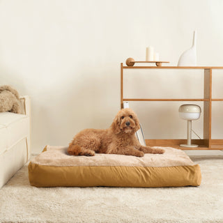 Cama para Mascotas Lugar de Abrazos