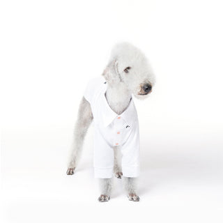 Camisa refrescante de bambú antialérgica para perros