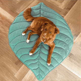 Alfombrilla para Mascotas Follaje Peludo